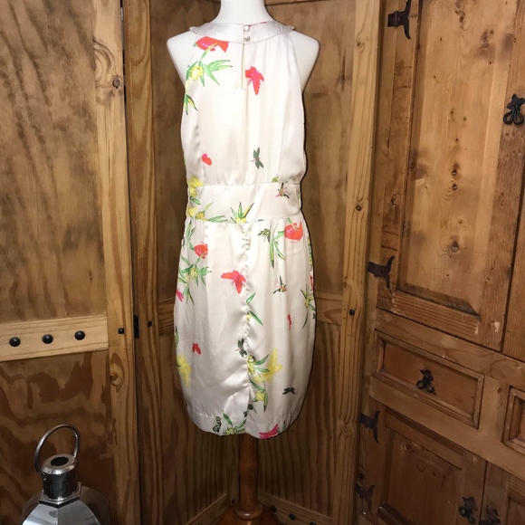 Spring Dress - Picture 5 of 6